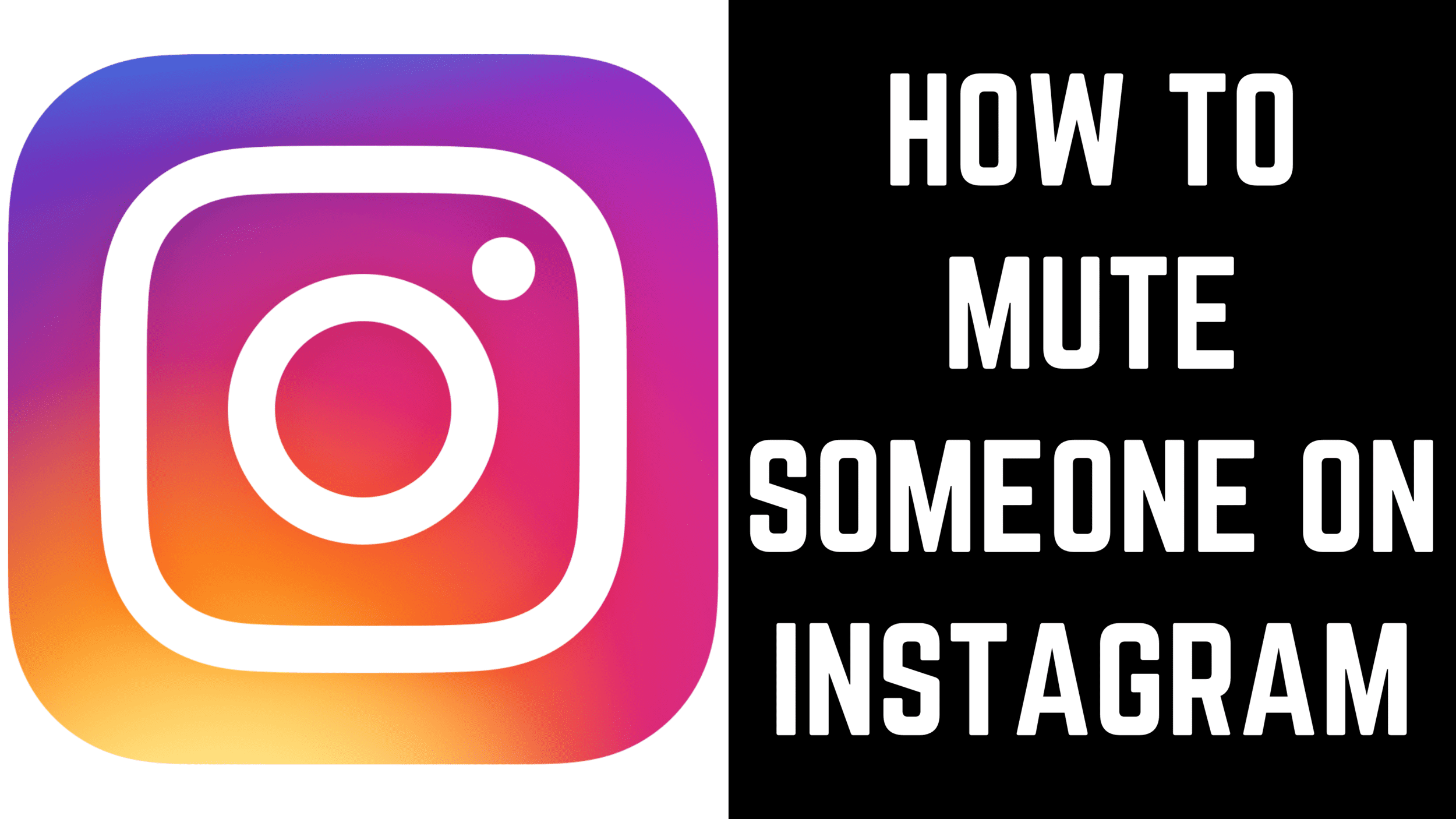 How to Mute or Unmute Someone on Instagram